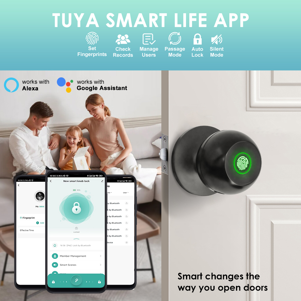 Tuya Serratura elettronica Ser - Door Handle Bar recensione e prezzo